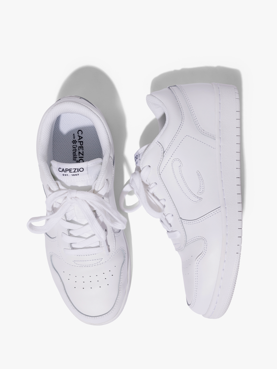 Ignite Dance Sneaker-FORVM COMERCIO EXTERIOR LTDA EPP-Capezio Brazil